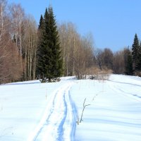 Зима!!! :: Радмир Арсеньев