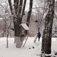 Зимняя лёгкость бытия :: Инна Драбкина