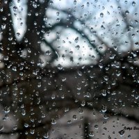 Слёзы дождя на оконном стекле..... :: Восковых Анна Васильевна 