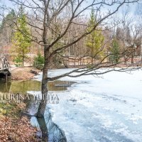 Весенний пруд во льдах :: Юлия Батурина