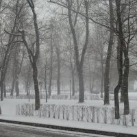 Космические скорости изменения погоды 15 марта. :: Александр Чеботарь