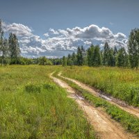 Воспоминание о лете. :: Александр Орлов