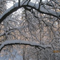 Зима :: Maikl Smit