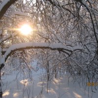 Зима :: Maikl Smit