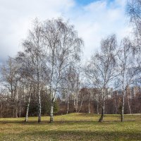 Весна в парке. :: Владимир Безбородов