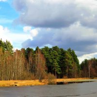 В тёплый мартовский день :: Андрей Снегерёв