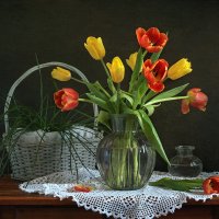 Весна время тюльпанов... :: Людмила Крюкова