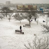 Снежный день :: Анатолий Чикчирный