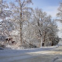 очарование простых дорог... :: Галина Флора