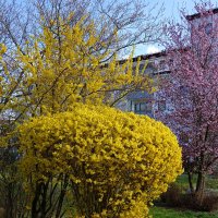 Весна в городе Аугсбург...... :: Galina Dzubina