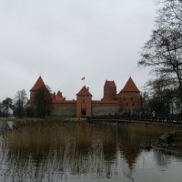 Тракайский замок на острове в озере Гальве - пожалуй, самая известная достопримечательность Литвы :: Елена Павлова (Смолова)