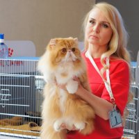 выставка кошек и хозяев...4 :: Александр Прокудин