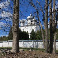 Хутынский монастырь. В. Новгород :: Наталья 