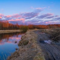 Вечерний пейзаж Гатчинского района :: Дарья Меркулова