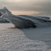 Ледяной пришелец... :: Сергей Герасимов