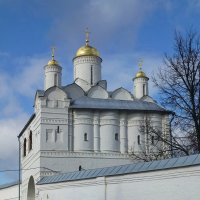 Благовещенская надвратная церковь Покровского монастыря :: Лидия Бусурина
