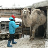 На выход :: Иван Семин