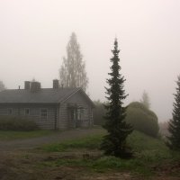 Туман :: Ольга Саранцева