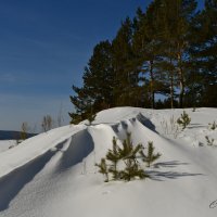 Мартовский пейзаж Сибири :: Сергей Шаврин