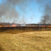 ...и такая дребедень каждый год.. :: Ольга Митрофанова