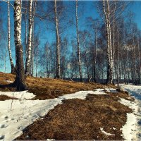 Косогор..Весна.. :: Александр Шимохин