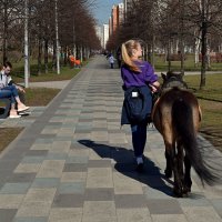 В парк, на работу. :: Татьяна Помогалова