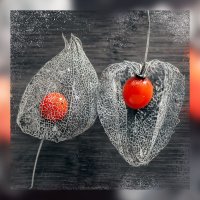 Чудные "помидорки" физалиса. :: Денис Антонов