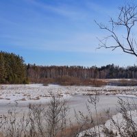 Пейзаж в последний день марта. Земля томская :: Галина Кан