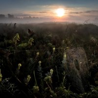 Созерцание рассветного тумана.... :: Андрей Войцехов