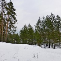 По горам, по долам, по лесочку :: Raduzka (Надежда Веркина)