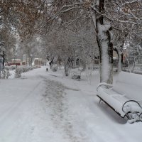 22.03.20 - Сквер в городе Хвалынск. А снег все идет и идет!.. :: Лидия Бараблина