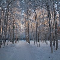 Прогулка в зимнем парке :: Влад Владов