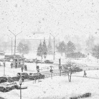 Весенний снегопад :: alteragen Абанин Г.