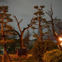 Парк Сумиёси, Осака, Япония :: Иван Литвинов