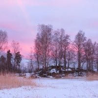 нежные краски восхода :: Галина 