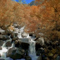 Водопад на реке Азат, Армения :: Arman S