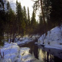 Лесная речка. :: Галина Полина