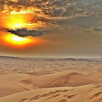 Пустыня в  закатом солнце :: Виталий Селиванов 