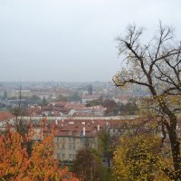 Туман над Прагой :: Ольга 
