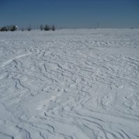 Снег :: Anna Ivanova