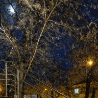 Ночь, улица, фонарь ... :: Сергей Шатохин 