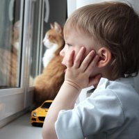 Ребенок и кот смотрят в окно :: Наталья Преснякова