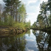 В Берендеевом царстве :: Сергей Курников