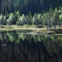 Где-то в Норвегии... :: Валентина Харламова