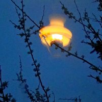Летающая  лампа  Алладина? :: Евгений БРИГ и невич