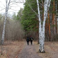 Прогулка в лесу ... :: Татьяна Котельникова