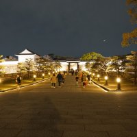 Парк замка Осаки :: Иван Литвинов