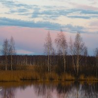 Озеро :: Albina Lukyanchenko