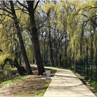 Весна в парке. :: Валерия Комова