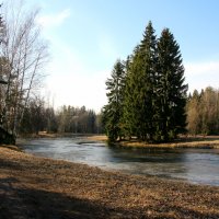 Павловский парк. Март :: Наталья Герасимова